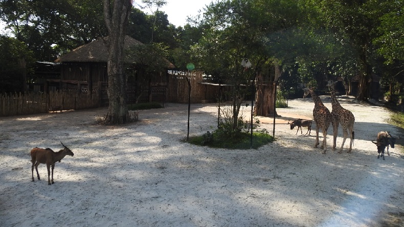 Tarif Masuk Kebun Binatang Bandung Naik dari Rp40.000 Jadi Rp50.000 Per Orang