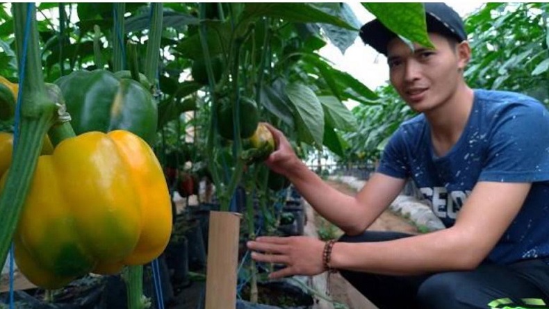 title Ridwan Kamil Perkenalkan Petani Milenial di Jabar, Penghasilannya Rp20 Juta per Bulan Ridwan Kamil Perkenalkan Petani Milenial di Jabar, Penghasilannya Rp20 Juta per Bulan