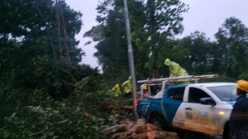 Listrik Sempat Padam Akibat Cuaca Ekstrem, PLN Pastikan Ribuan Gardu Telah Pulih