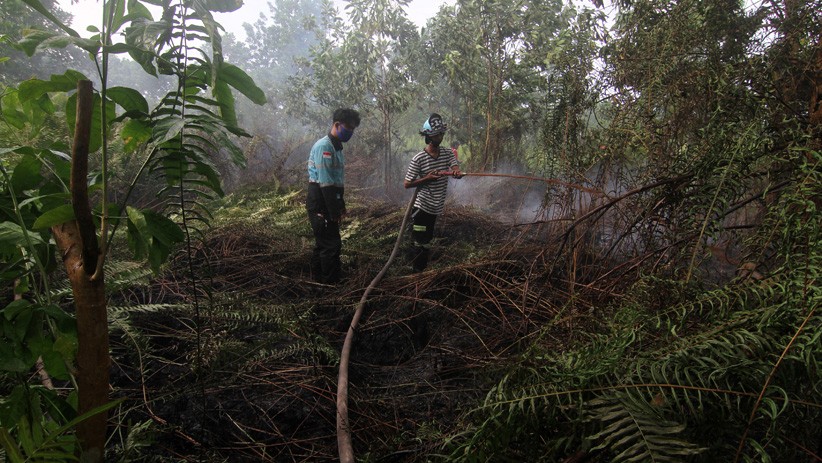 Karhutla Seluas 3 Hektare Dekat Permukiman Warga Pontianak - Bagian 2