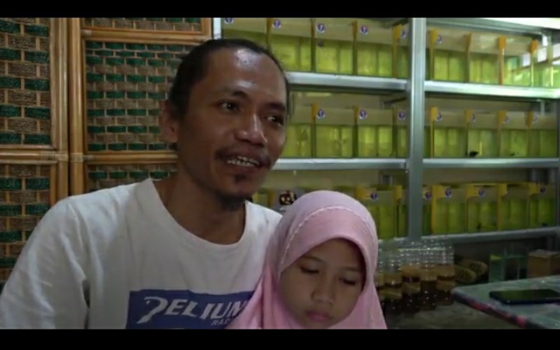 Angga, Pria Palembang Ekspor Ikan Cupang hingga Eropa