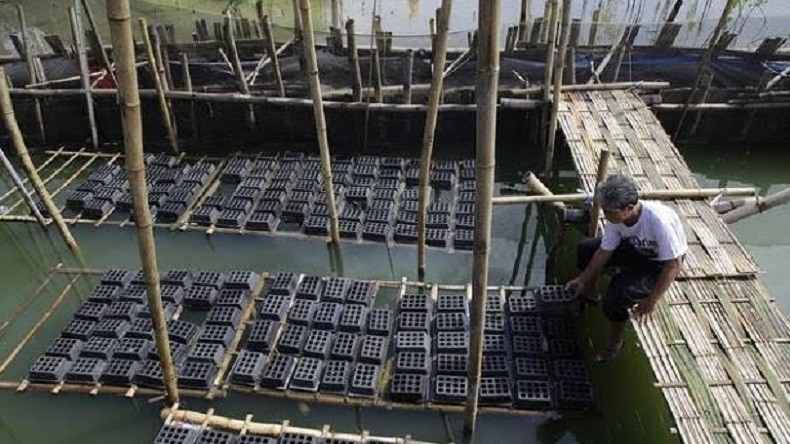 title Selama Pandemi Covid-19, Surabaya Bertumpu pada Wisata Bahari Selama Pandemi Covid-19, Surabaya Bertumpu pada Wisata Bahari