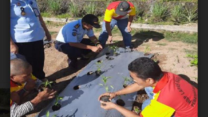 Lapas Narkotika Pematangsiantar Usulkan 63 WBP Dapat Remisi Natal