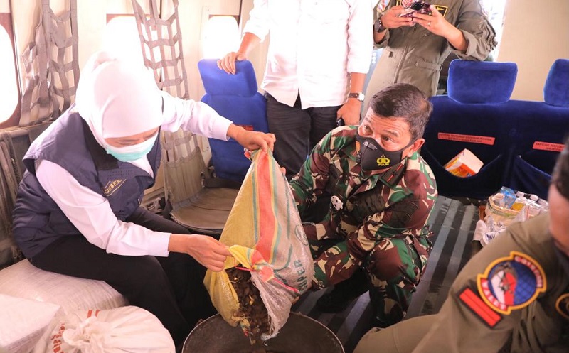 Cegah Banjir dan Longsor, Khofifah Tebar Biji Pohon Keras di Gunung Arjuno dari Udara  