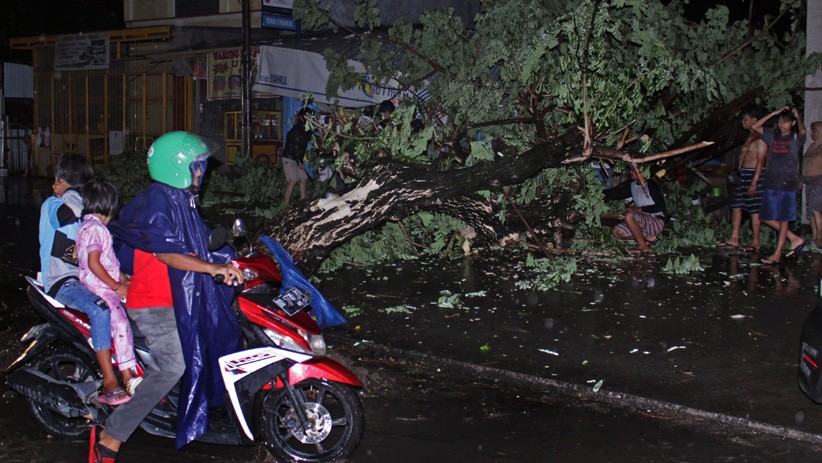 Pohon Tumbang akibat Angin Kencang Menutup Jalan Syech Yusuf Gowa
