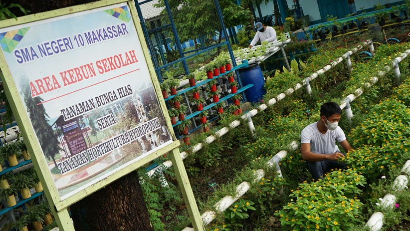 Belajar Budi Daya Tanaman Hias dengan Sistem Hidroponik - Bagian 3