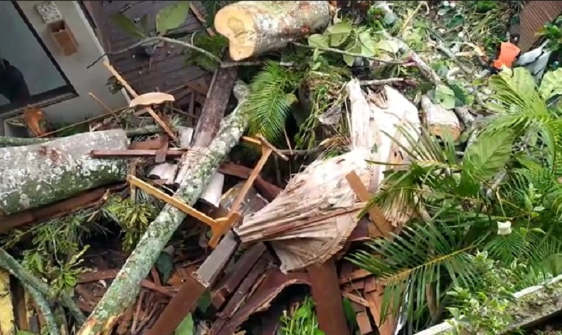 Tak Ada Angin, Pohon Setinggi 15 Meter Tiba-Tiba Tumbang Menimpa Bangunan Vila di Gianyar