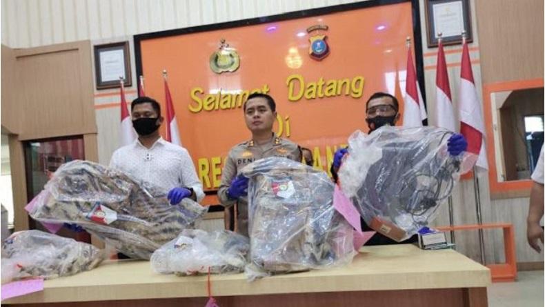 Polisi Bongkar Jual Beli Kulit dan Tulang Belulang Harimau Sumatra Senilai Rp530 Juta
