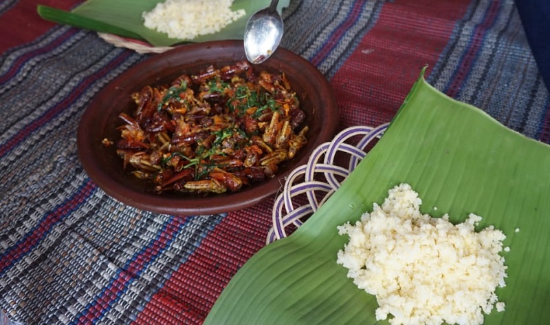 title Belalang Sambel di Mojokerto Diburu Pencinta Kuliner, Ini Manfaatnya Bagi Tubuh  Belalang Sambel di Mojokerto Diburu Pencinta Kuliner, Ini Manfaatnya Bagi Tubuh