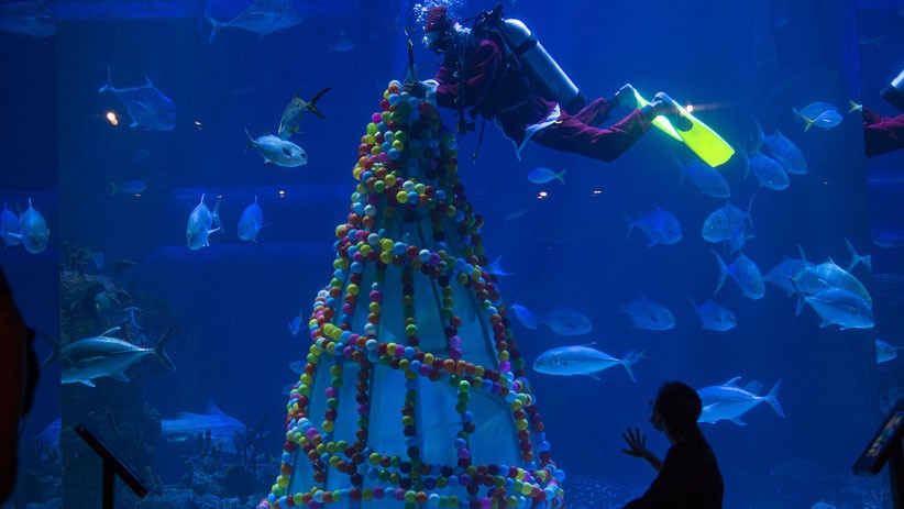 Pertunjukan Dalam Air Sambut Libur Natal dan Tahun Baru 2021 - Bagian 3