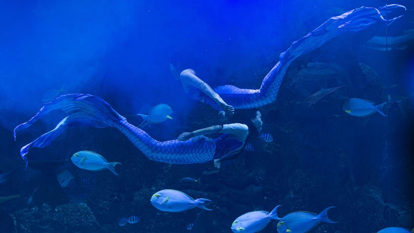 Pertunjukan Dalam Air Sambut Libur Natal dan Tahun Baru 2021 - Bagian 2