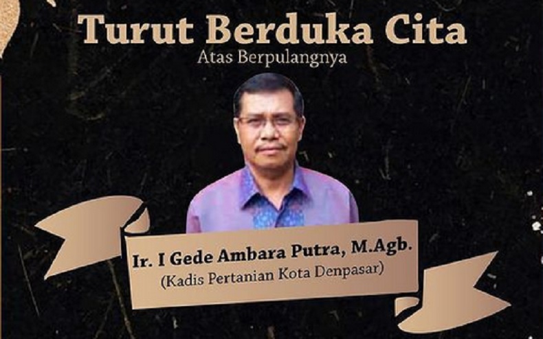 Kadis Pertanian Denpasar Meninggal akibat Covid-19, Punya Komorbid Jantung dan Paru