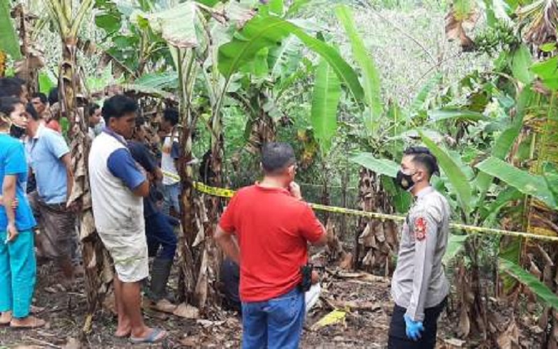 Pemuda Tewas Tersengat Listrik Jebakan Babi, Pemilik Kebun Jagung jadi Tersangka