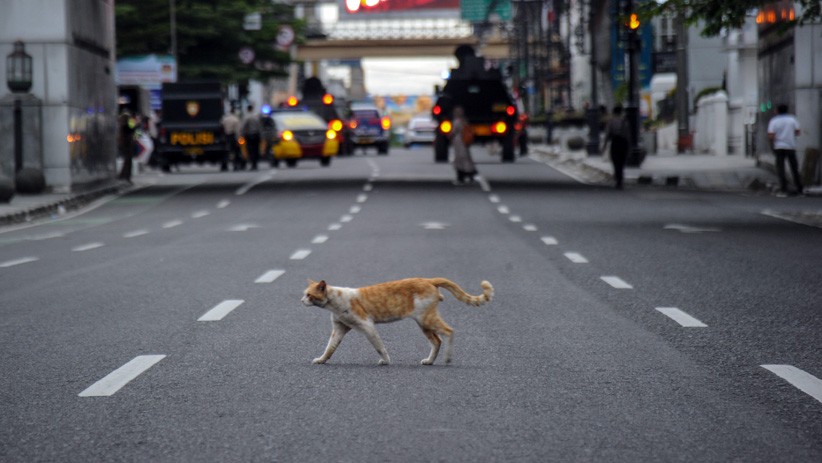 Jalan Protokol Kota Bandung Ditutup hingga Pukul 05.00 WIB - Bagian 1