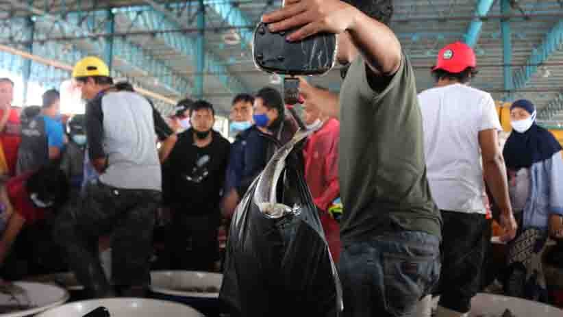 Jelang Malam Tahun Baru, Pasar Ikan Muara Angke Dipadati Pembeli - Bagian 4