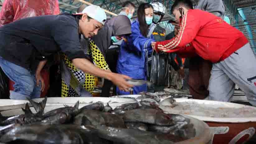 Jelang Malam Tahun Baru, Pasar Ikan Muara Angke Dipadati Pembeli - Bagian 2