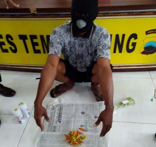 Pelaku Manipulasi Cabai Ditangkap, Modusnya Warnai Cabai Hijau Jadi Merah dengan Cat Semprot