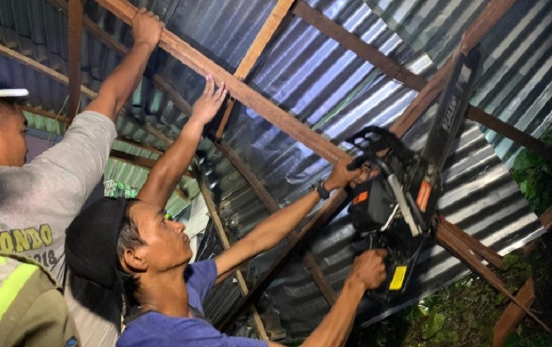 Malam Tahun Baru, Dua Rumah di Pontianak Ditimpa Pohon Tumbang