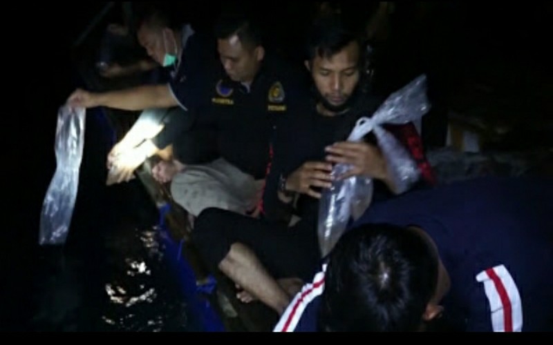 28.200 Benih Lobster Sitaan di Sumsel Dilepasliarkan di Perairan Lampung