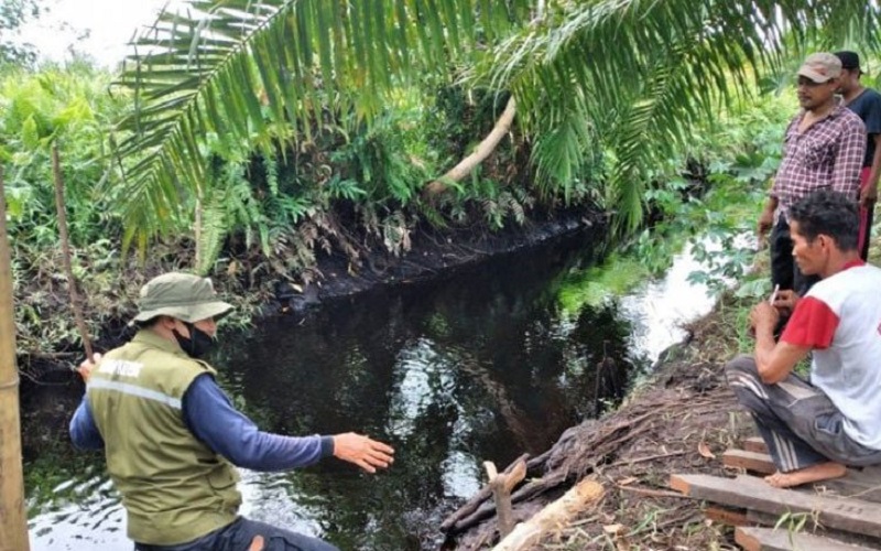 Diterkam Buaya, Tangan Kiri Nenek Bahriah Putus