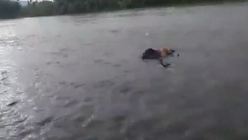  Mayat Perempuan Ditemukan di Sungai Mandailing Natal, Diduga Terpeleset saat Menyeberang