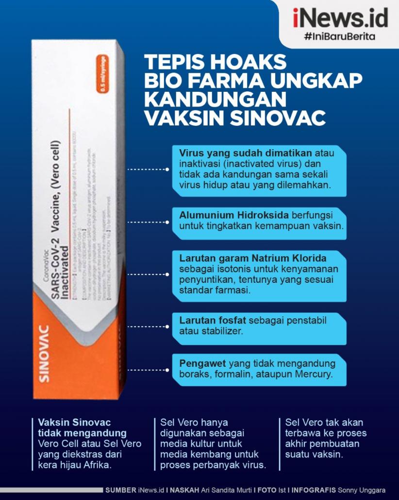 Infografis Hoaks Sinovac Mengandung Boraks