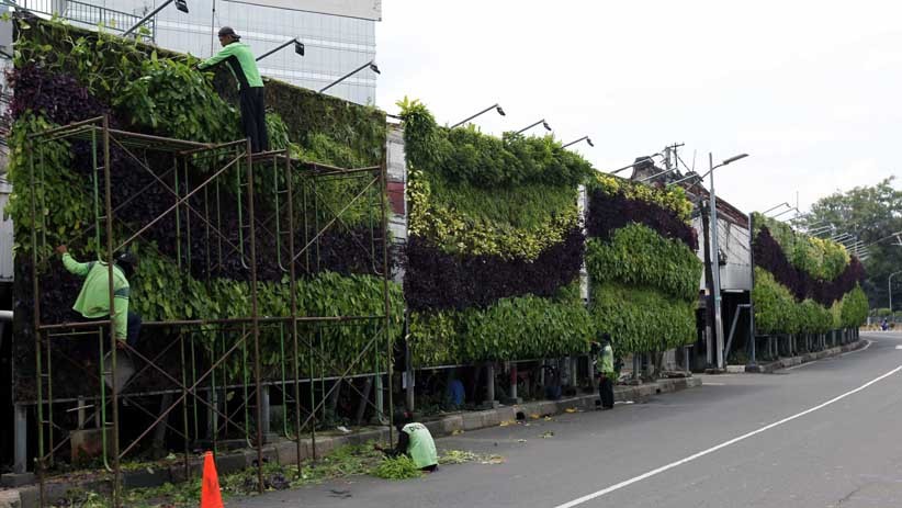 Merawat Taman Vertikal Ibu Kota - Bagian 1