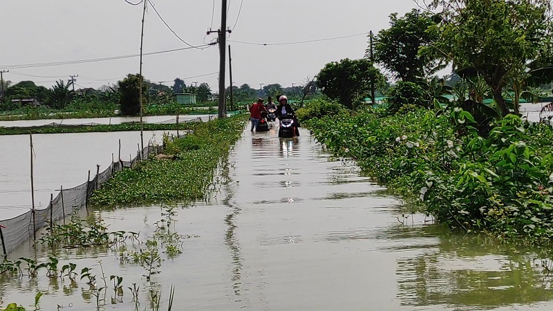 Banjir di Lamongan Meluas, 19 Desa Terendam Luapan Anak Sungai Bengawan Solo