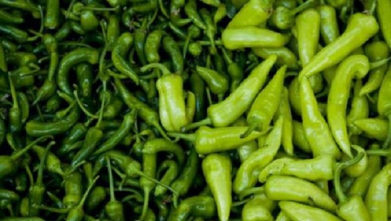 Awal Tahun, Harga Cabai Rawit Hijau di Pidie Jaya Meroket Jadi Rp60.000 per Kg