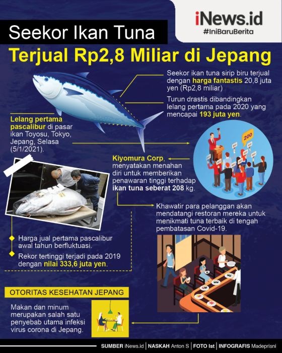 Ikan Tuna Sirip Biru Terjual Rp2,8 Miliar dalam Lelang di Jepang