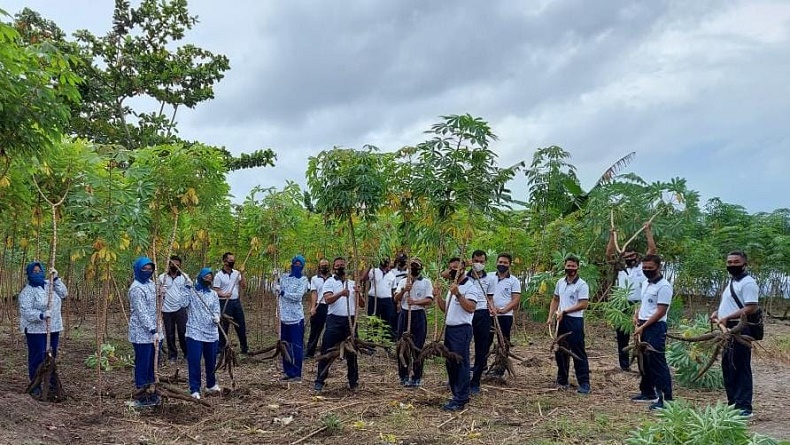 Lanal Melonguane Bagikan Hasil Panen Singkong ke Masyarakat Sekitar