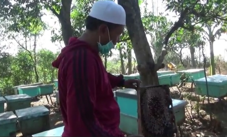 Luar Biasa, Mantan Preman Ini Sukses Ternak Lebah Madu hingga Naik Haji  