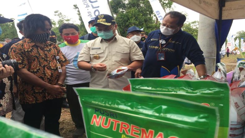 Dukung Ketahanan Pangan, Pemprov Babel Bangun Korporatisasi Pertanian