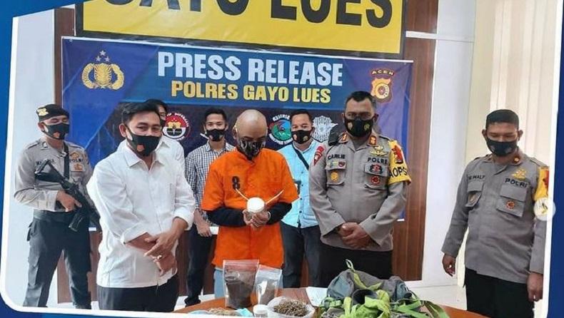 Campur Kopi dengan Ganja, Tour Guide di Gayo Aceh Diciduk Polisi