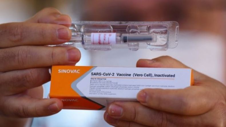 Bio Farma Jamin Vaksin Sinovac Tak Mengandung Sel Vero dari Monyet