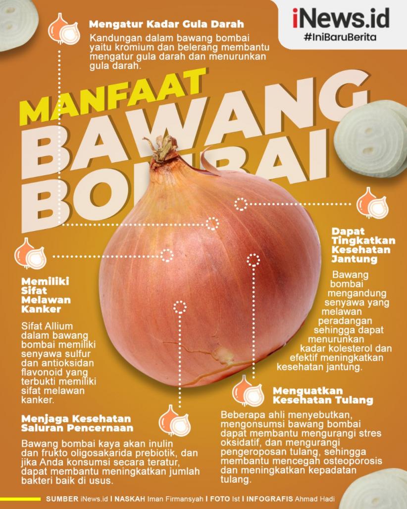 Infografis Manfaat Bawang Bombai