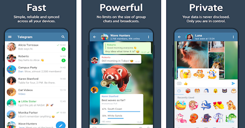 Pengguna Baru Telegram Naik 25 Juta dalam Waktu 72 Jam 