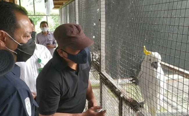 Ratusan Burung Langka Disita dari Penangkaran Ilegal di Sukabumi