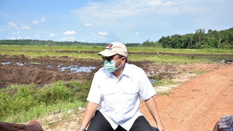 Gubernur Erzaldi Tinjau Ratusan Hektare Lahan Sawah Keracunan di Bangka Selatan