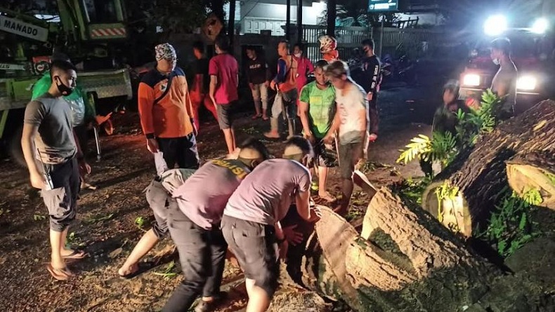 2 Pohon Tumbang Tutup Jalan Arie Lasut Manado, Polisi Gerak Cepat Evakuasi