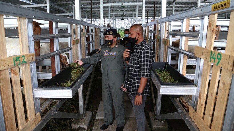 Dukung Ketahanan Pangan Nasional, Puspenerbal Buka Lahan Peternakan Kambing - Bagian 1