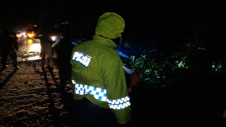Pohon Besar di Minahasa Utara Tumbang, Jalan Manado-Bitung Macet Total 
