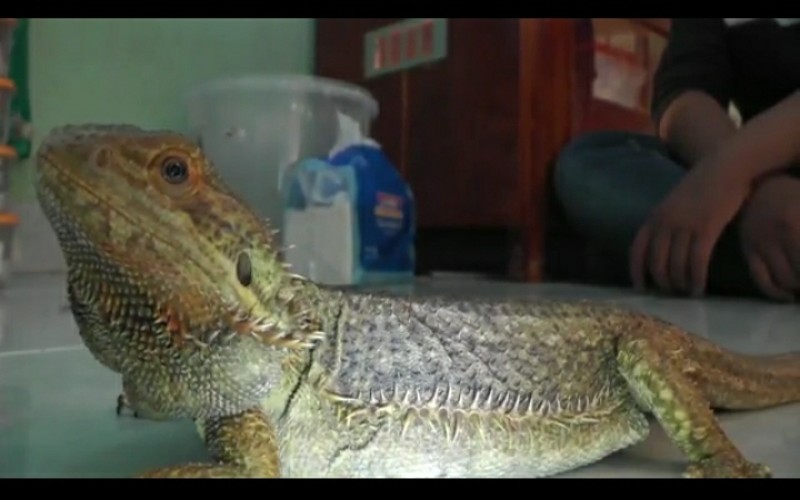 Sabar Hadapi Kadrun, Bantu Biaya Kuliah di Fakultas Kedokteran 