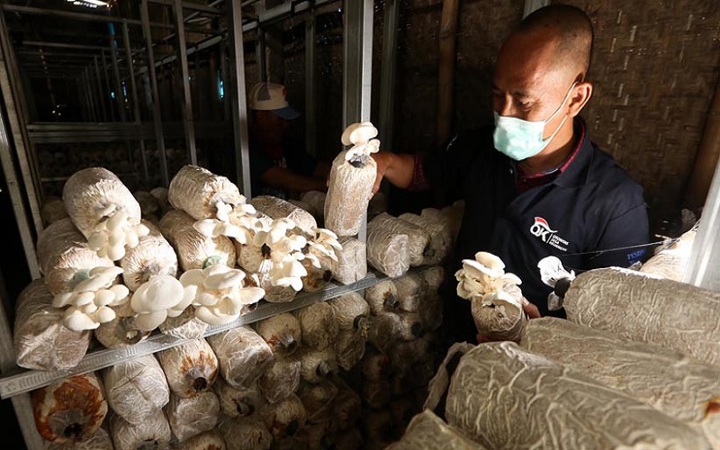 18.000 Pelaku Usaha Kecil di Ambon Terima Hibah BPUM 