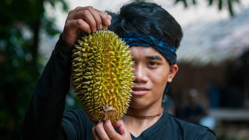 Warga Suku Badui Panen Durian, Dijual Rp30.000 per Buah - Bagian 1