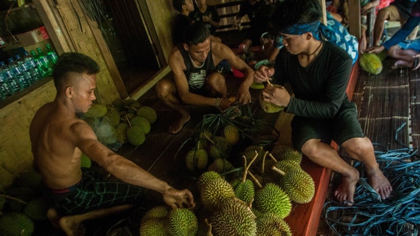 Warga Suku Badui Panen Durian, Dijual Rp30.000 per Buah - Bagian 2