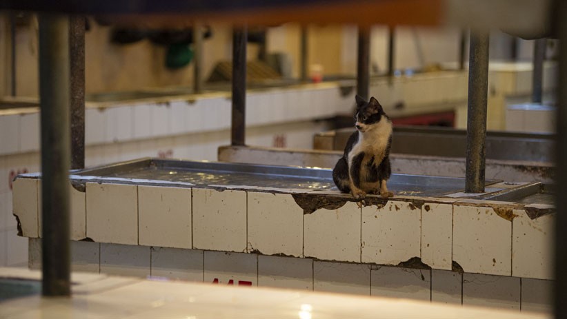 Pedagang Daging Mogok Jualan, Begini Suasana Sepi Lapak di Pasar Senen - Bagian 3