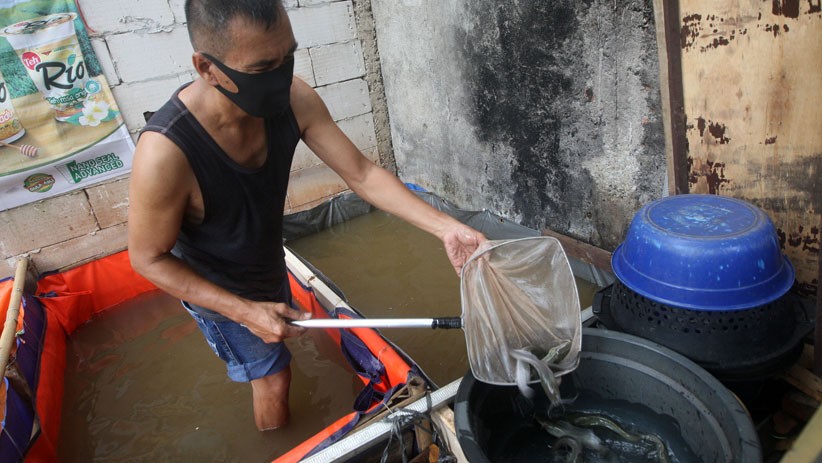 Pencairan Dana KUR Sektor Kelautan dan Perikanan Capai Rp5,2 Triliun - Bagian 2