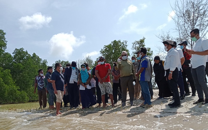 Gubernur Babel Mulai Lirik Potensi Rumput Laut