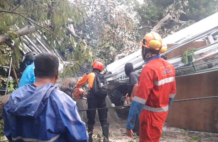 Hujan dan Angin Kencang Melanda Sleman, 7 Rumah Warga Rusak Tertimpa Pohon